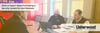 people sitting at a table with the title 