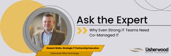 Stewart Walts in a circle with the words ask the expert to his right the title why even strong IT teams need co-managed IT below it 