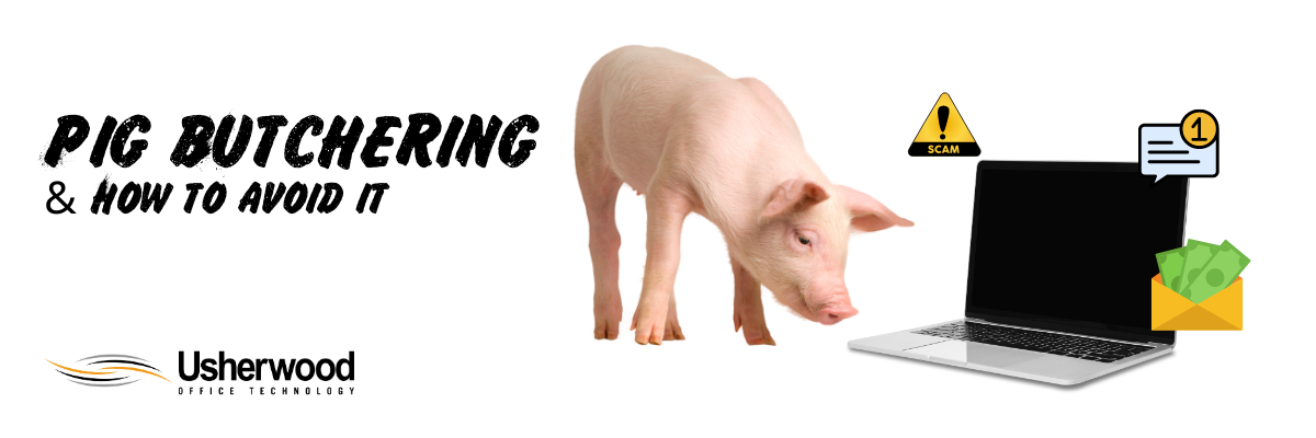 Wrong Number: How to Avoid Falling for “Pig Butchering” Cyber Scams